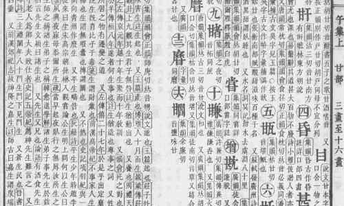 鼻支康是治疗角膜炎还是结膜炎的-鼻支症状-鼻支症状,中国鼻支康治疗鼻支效果怎么样网站