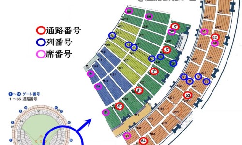 鼻支是什么-鼻支症状-鼻支症状,中国鼻支康治疗鼻支效果怎么样网站